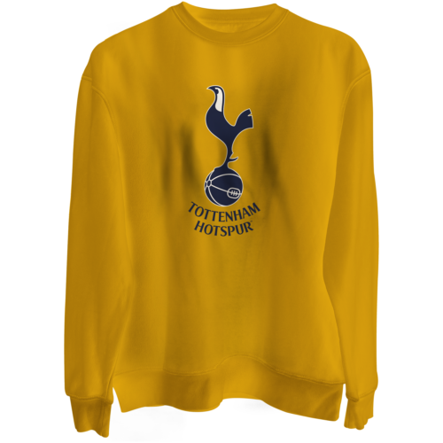 Tottenham Hotspur  Basic