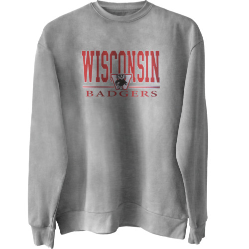 Wisconsin Badgers Basic