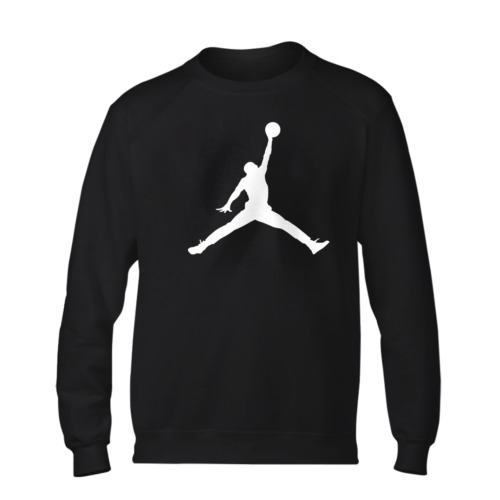 Air Jordan Basic