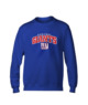 New York Giants Basic