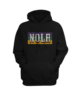 New Orleans  Hoodie