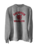 Davidson Wildcats Basic