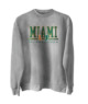 Miami Hurricanes Basic